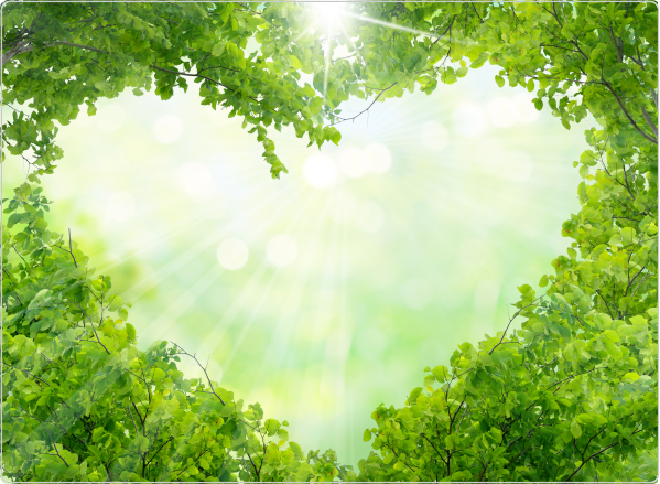 Op verkenning in de natuur